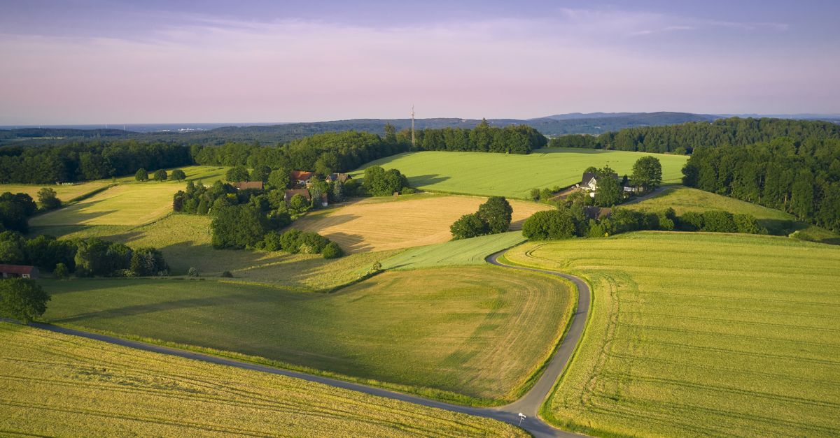 Luftaufnahme Landschaft