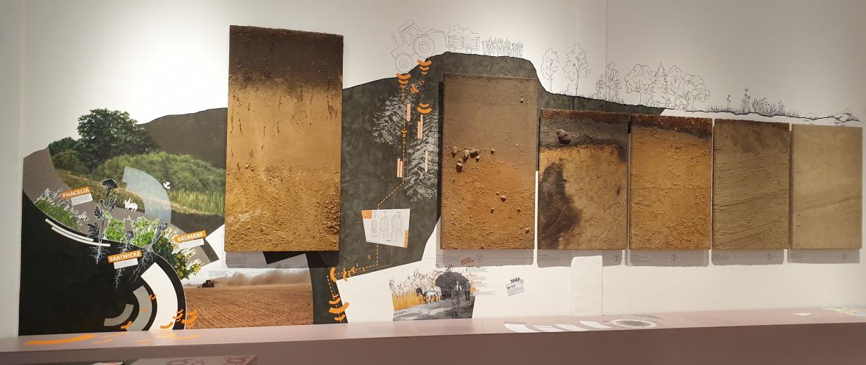 Blick in eine Museumsausstellung zum Thema Boden