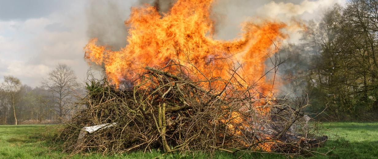 brennender Holzhaufen auf einer Wiese