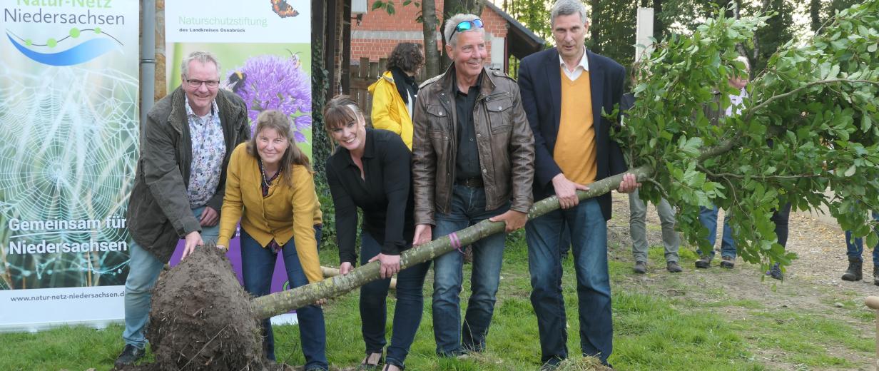 Gruppe von Personen pflanzt einen Baum